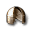 sensd